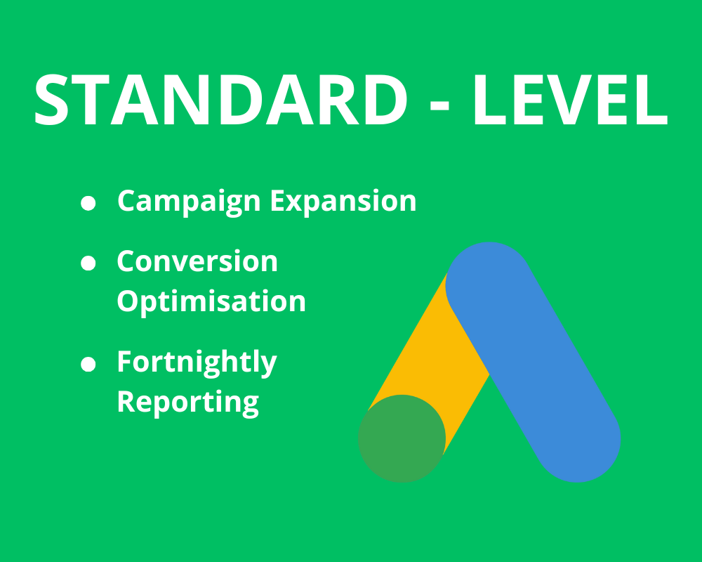 Google Ads Standard Level Package